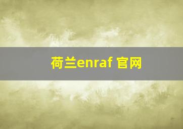 荷兰enraf 官网